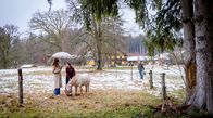 Sturm der Liebe – Ana (Soluna-Delta Kokol, l.) ist beeindruckt von Natalies (Teresa Klamert, M. mit Martin Walde, hinten r.) Leidenschaft für ihre Tierrettungsstation.