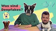 Team Timster – Deepfake und TikTok-Sucht