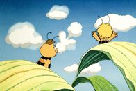 Biene Maja – Maja und Willie betrachten die Wolken und träumen dabei.