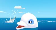 Zoom - Der weiße Delfin – Der weiße Delfin Zoom schaut mit dem Kopf aus dem Wasser und schaut begeistert einem Fisch hinterher, der gerade neben ihm im Meer landet.