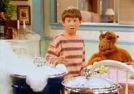 ALF – ALF (1988)