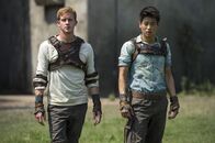 Maze Runner - Die Auserwählten im Labyrinth – Maze Runner - Die Auserwählten im Labyrinth (2014)