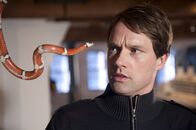 Notruf Hafenkante – Überfall im Museum: Bei seinen Ermittlungen wird Mattes (Matthias Schloo) von einer giftigen Schlange gebissen.