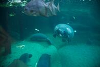 Zoogeflüster – Fr, 12.06., 07:45 Uhr