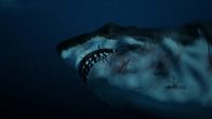 Megalodon – Megalodon Szenenbild