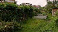 Querbeet extra – Interkultureller Garten in Bozen.