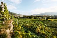 Winzerlegenden – Landschaftsbild vom Weingut F.X. Pichler