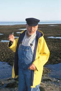 Löwenzahn Classics – Peter Lustig (Peter Lustig) ist auf eine riesige Muschelbank voller Miesmuscheln gestoßen.