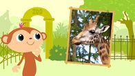 StoryZoo – Sa, 17.02., 07:00 Uhr