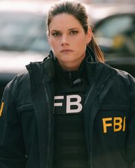 FBI: Special Crime Unit – FBI: Special Crime Unit (2020)