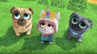 Welpen Freunde – L-R: Rolly, Bingo, Keia