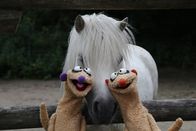 Unser Sandmännchen – Jan und Henry machen sich darüber Gedanken, warum ihre Nasen unterschiedliche Farben haben. Ăśberhaupt gibt es so viele verschiedene Personen, die alle ganz anders sind, zum Beispiel im Zoo: Da gibt es Tiere mit langen Hälsen, mit Punkten, großen Augen oder dickem Fell.