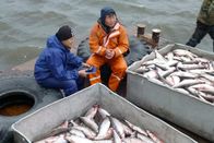 GEO Reportage – Fischzug der Jakuten auf Weißlachs an der Lenamündung zum Polarmeer