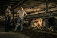 SOKO München – Franz Ainfachnur (Christofer v. Beau, l.) spricht im Stall mit Gregor Zwillinger (Marcus Grüsser, r.).