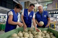 Zu Tisch ... – David Biscarrat kontrolliert mit seinen Eltern Thérèse und François die Qualität der frisch geernteten Melonen.
