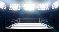 AEW: Collision – Der Boxring, Kampfarena