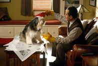 Monk – Monk (Tony Shalhoub) kümmert sich liebevoll um den von ihm adoptieren Hund Shelby. Wenn da nur nicht die lästigen Hundehaare wären...