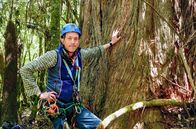 Tasmanien - Australiens grüne Insel – Biologe Yoav Daniel Bar-Ness vor einer Baumbesteigung: In den Baumkronen riesiger Eukalyptusbäume erforscht er Insekten.