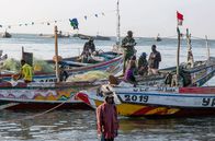 Arte Reportage – Seit einigen Jahren haben die einheimischen Fischer des Senegal immer mehr Mühe, ihre Netze zu füllen und ihre Familien zu ernähren – denn große Fischtrawler aus Asien und Europa gehen auf Raubzug in die Hoheitsgewässer des Senegal.