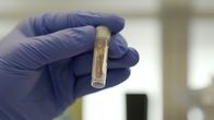 SMS - Schwanke meets Science – Zellforschung ist einer der Schwerpunkte des Helmholtz Gesundheitszentrums in München.