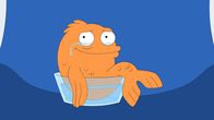 American Dad! – Klaus