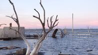 Lost Places - Geheime Welten – Das Schwimmbad von Epecuén. Heute ragen nur noch ein alter Baum und der Rest eines Sprungturms aus dem Wasser, nach dem eine Flut den Ort überspült hat.