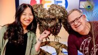 1, 2 oder 3 – Vogel-Expertin Liyang Zhao (l.) erklärt Elton (r.), welche besonderen Eigenschaften Federn haben.