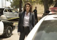 Bosch – Lieutenant Grace Billets (Amy Aquino)