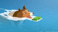 Lassie – Lassie (2015)