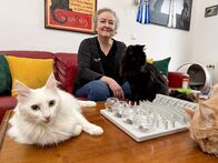 Tierische Augenblicke – Rasseporträt Angorakatze: Christine Masser spielt mit ihren Angorakatzen.