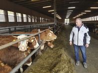 Servus Reportage – Franz Penz auf seinem Hof in Edelschrott, in der Steiermark. Auf diesem Familienbetrieb werden verschiedene Arten von Rindern und Kälbern gemästet. ; Franz Penz auf seinem Hof in Edelschrott, in der Steiermark. Auf diesem Familienbetrieb werden verschiedene Arten von Rindern und Kälbern mästet.