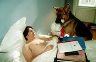 Kommissar Rex – Kommissar Richie Moser (Tobias Moretti) muss nach einem Beinbruch am Tatort das Bett hüten.