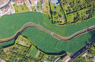 Leben mit Vulkanen – Die üppige Vegetation und die Artenvielfalt auf São Miguel sind vor allem den vulkanischen Quellen auf der Insel zu verdanken.
