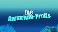 Die Aquarium-Profis – Fr, 04.10., 08:50 Uhr