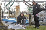 Navy CIS – Als der Kongressabgeordnete Dan McLane, ein Ex-NCIS-Mann, in New Orleans tot an Land gespült wird, zieht man Gibbs' alten Kollegen, NCIS Special Agent Dwayne Cassius Pride (Scott Bakula, l.), zur Lösung des Falls hinzu. Zusammen mit Lasalle (Lucas Black, r.) untersucht er die Leiche ...