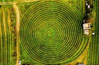 Expedition in die Heimat – Einen weltweit einzigartigen Weinberg hat ein Verein aus Hobby-Winzern geschaffen. Die „Wingertschnegg" wurde wie ein Schneckenhaus in Spiralform angelegt. Durch die außergewöhnliche Form wurde „die längste Rebzeile der Welt“ geschaffen, was in der Bearbeitung der Weinstöcke freilich auch Nachteile birgt. Eine Fahrt mit dem Weinbergstraktor vom äußeren Rand bis ins Zentrum der Spirale soll eine ganze Stunde dauern. Möglicherweise handelt es sich bei dieser Schätzung aber auch um eine Art önologisches Seemannsgarn. Schließlich brandeten hier, im Mainzer Becken, vor vielen Millionen Jahren auch mal die Meereswogen.