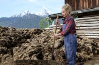 Neue Folgen - Staffel 4: Watzmann ermittelt – Gitte Schiller (Franziska Schlattner) findet die Leiche ihres Mannes im Misthaufen.