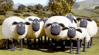 Shaun das Schaf – Shaun das Schaf (2020)