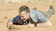 Faszination Erde – Außergewöhnliche Bewohner an außergewöhnlichen Orten: Dirk Steffens entdeckt in der Hitze der Namib Tiere, die man hier nicht erwartet: Schildkröten. Die Buschmannland-Zeltschildkröte hat eine faszinierende Technik entwickelt, um an Wasser zu gelangen: eine Art "Yoga-Übung".