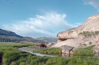 Yellowstone - Park der Extreme – Wo der Yellowstone River seinen ungezähmten Charakter bewahrt hat, hat die wilde Natur überlebt.