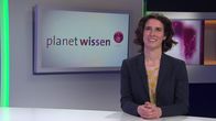 Planet Wissen – Im Studio zu Gast: Die Schauspielerin und Stimmlehrerin Nicola Tiggeler unterrichtet Menschen in stimm- und sprechintensiven Berufen und ist Dozentin im Fach Sprechen an Schauspielschulen.; Im Studio zu Gast: Die Hals-Nasen-Ohren-Ärztin Dr. med. Simone Graf behandelt im Bereich Phoniatrie am Klinikum Rechts der Isar der TU München Patientinnen und Patienten mit Störungen der Stimme, des Sprechens, der Sprache und des Schluckens.