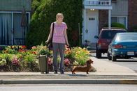 Wiener Dog – Dawn Wiener (Greta Gerwig)