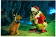 Der Grinch – Der Grinch (2000)