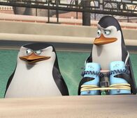 Die Pinguine aus Madagascar – Die Pinguine aus Madagascar (2011)