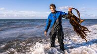 Faszination Wasser – Uli Kunz hat ein Stück Kelp mit an die Oberfläche gebracht: Die großen Braunalgen lieben kühles Wasser. Wenn die Temperaturen steigen, gehen die Bestände zurück.