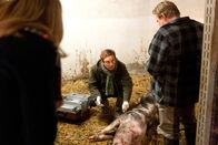 Mord mit Aussicht – Tierarzt Jochen Kauth (Arnd Klawitter, M.) ist mit Sophie Haas (Caroline Peters, l.) in den Stall von Klaus Harnischmacher (Werner Wölbern, r.) geeilt. Doch er kann nur noch den Tod von Zucht-Eber Jacko feststellen.