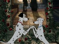 101 Dalmatiner – Pongo und Perdita
