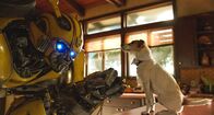 Bumblebee – Bumblebee (2018)