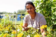 Garten und lecker – Zum Finale geht es in den Interkulturellen Gemeinschaftsgarten nach Lahr im Schwarzwald. Hier gärtnert die heutige Gastgeberin Sugirtha Navarathinam gemeinsam mit 25 anderen Menschen. Auf ihrer Parzelle baut sie vor allem Nutzpflanzen aus ihrer Heimat Sri Lanka an: Bittergurken, besondere Bohnen und Auberginen.