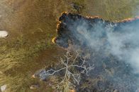 Unsere Kontinente – Mit der Technik des Cultural Burning der Aboriginal People wird gezielt trockenes Laub und Unterholz verbrannt.